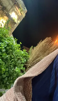 فاطمة  مناصرة