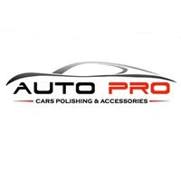 Auto Pro Detailing and Polishing