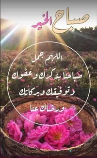 عمار  الحمايده