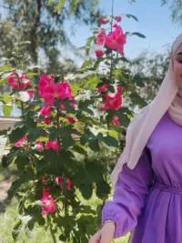 أفنان السلامين