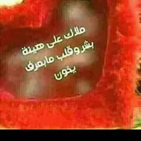 أبراهيم حويري