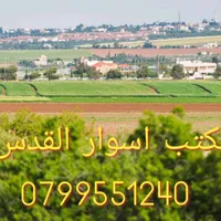 عاصم  الجعافرة