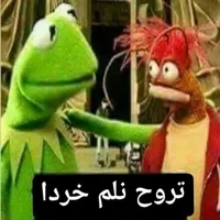محمد ابو سلطان