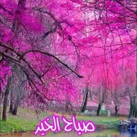 Welder -Irbid