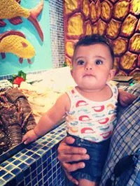 abo Qotuba