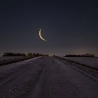 خاتم تنجستن / كربيد أصلي