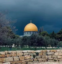 مرتضي أبراهيم محمد الامين