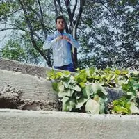 Anas Diks