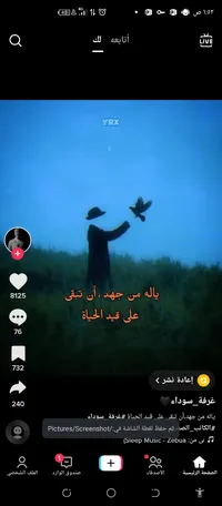 Qais