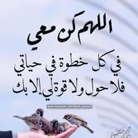 13 سعر السحسيله