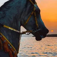 Qmar AWad