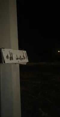 ѕoυdqi мoнaммad 