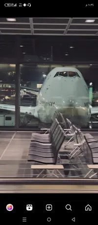 بيتر  كردي