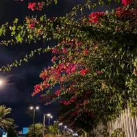مَحُمِدَ ⟨ 1430هـَ