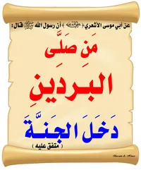 محمود ابو عليان