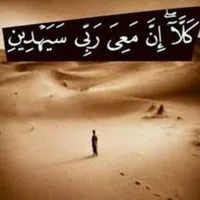 محمد الشمايله