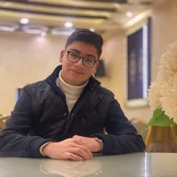 Mahmoud Alzamli