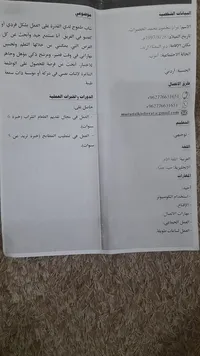 مراد  محمود 