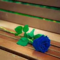 سامسونج ‏جالاكسي A16 ‏64 جيجابايت ‏أخضر