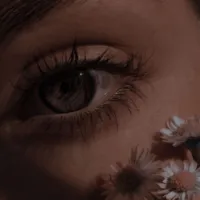 Mobile Application Developer -Gaza