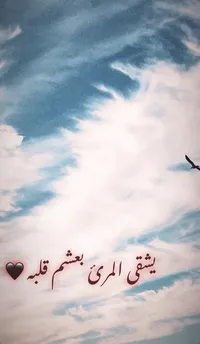 سندس ملحم