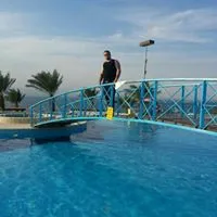Thaer Halaika