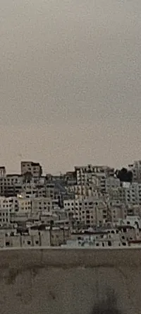 عبدالرحمن  الشناوي