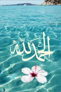 ايناس محمد  سليم