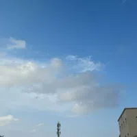 خالد