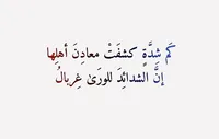 محمد محمد