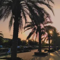 هونور ‏X6 هونور ‏256 جيجابايت ‏أبيض