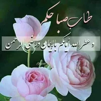 علي علي