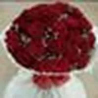 9375bd74-ccd8-42a0-9a45-6a25cfa0a9a7