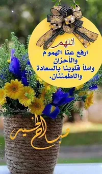 لطفي محمد ابو رومي