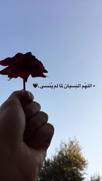 انس