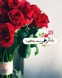 عبدالرحمن 