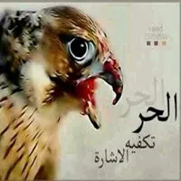 Muhammed Alkhrabesha