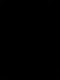 احمد 