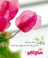 أحمد حسن خطاب