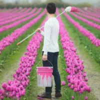 هيونداي ‏افانتي ‏Standard ‏1995