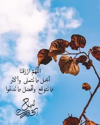 Doha Mohammed