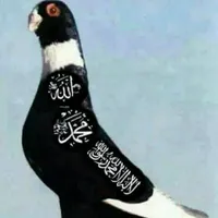 محمد مبارك