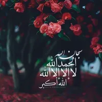 bassam amareen