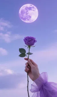 أبل ‏ايفون 17 برو ‏512 جيجابايت ‏فضي