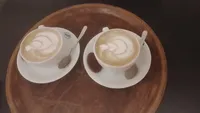 سند ياسر