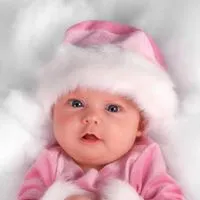 هوندا ‏أخرى ‏2011 ‏600 - 749 سي سي