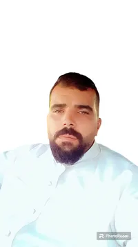 محمد شاهين شاهين