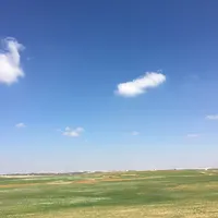 بدر .