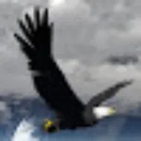 نيسان ‏صني ‏SV ‏2024