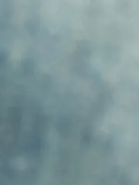 محمد الزهور